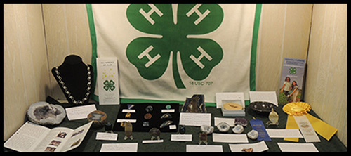 4-H Case